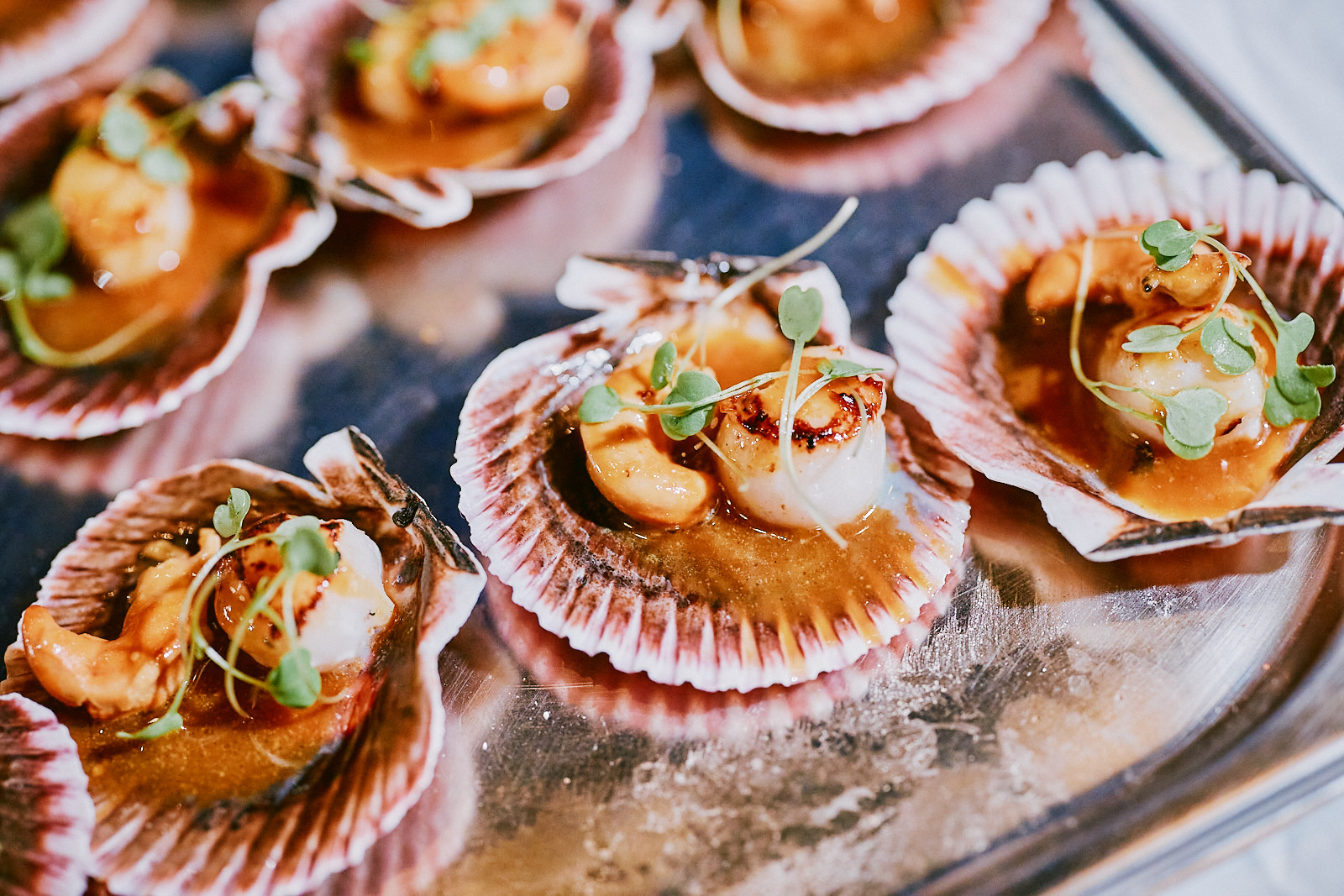 Scallops served as a finger food